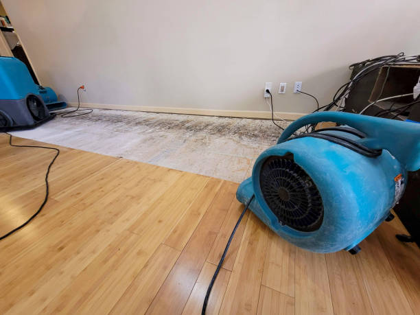 Professional Water Damage Repair technician working in Mount Pleasant, OH
